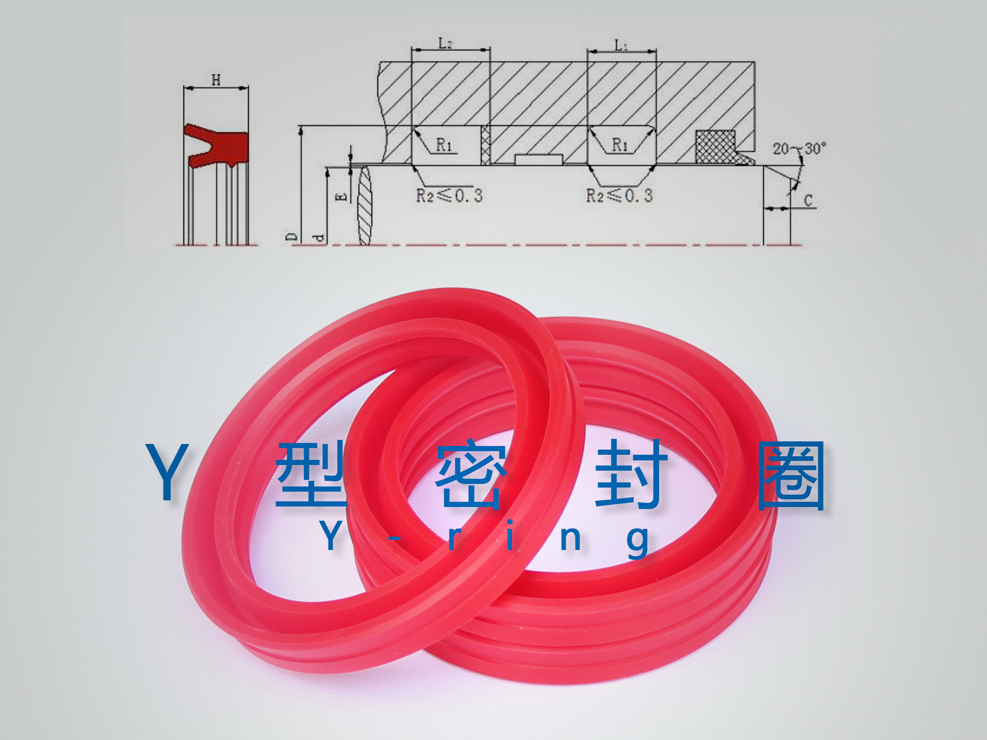 Y型密封圈（密封件、油封）與截面結(jié)構(gòu)產(chǎn)品圖